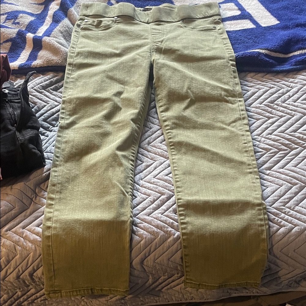 Liverpool Women's Sage Straight Leg Jeans